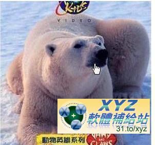 Discovery Kids 動物英雄系列 第四篇 貓科一族Fierce Felines 01-03集 國語/英語發音 英文/繁體中文/簡體中文語言字幕版(DVD版)(幼兒教學)(適用任何家用DVD播放機)